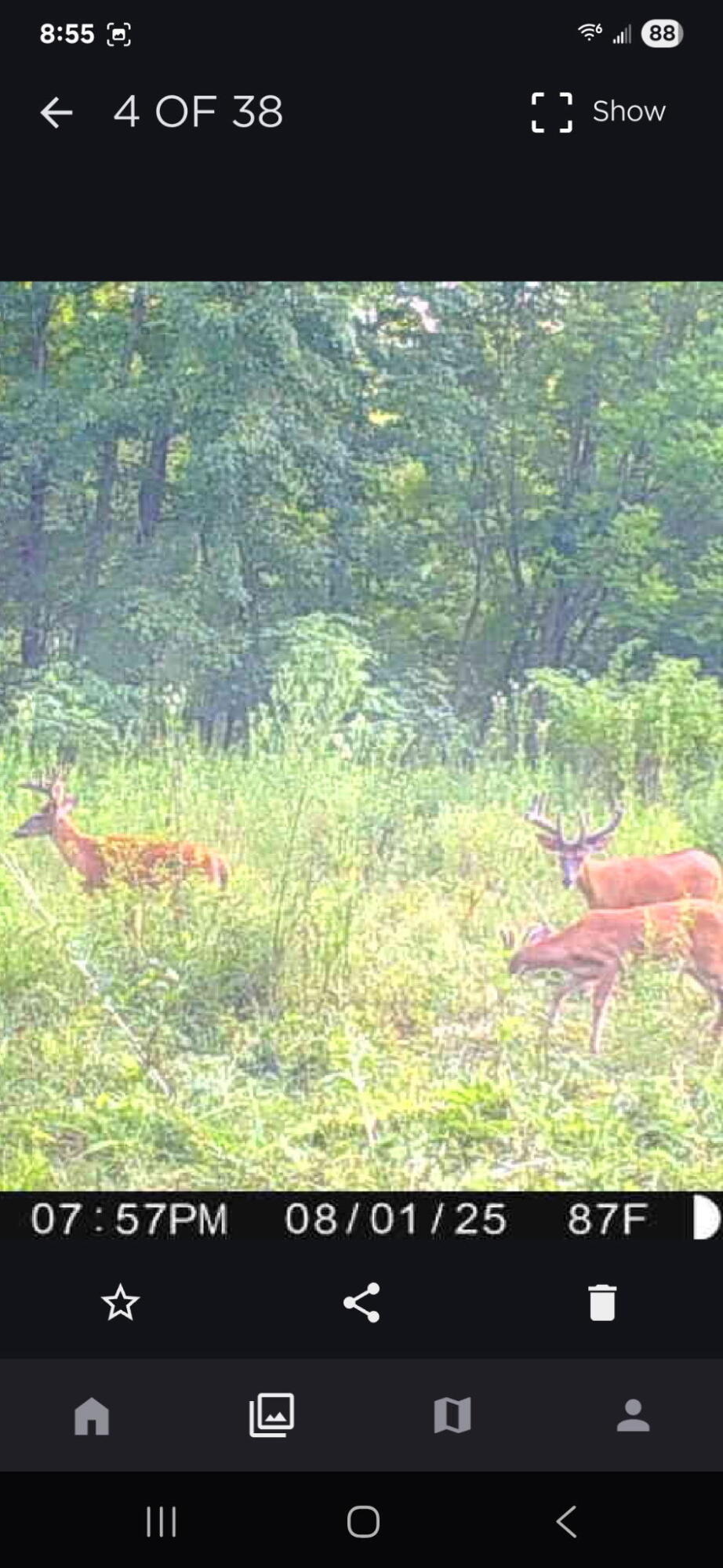 0 West Territorial Road Montgomery, MI 49255 - Photo 13 of 15 2825048044994919933