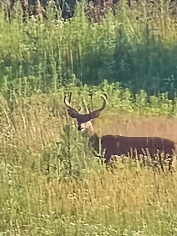 $399,900 | 0 West Territorial Road, Montgomery, MI 49255