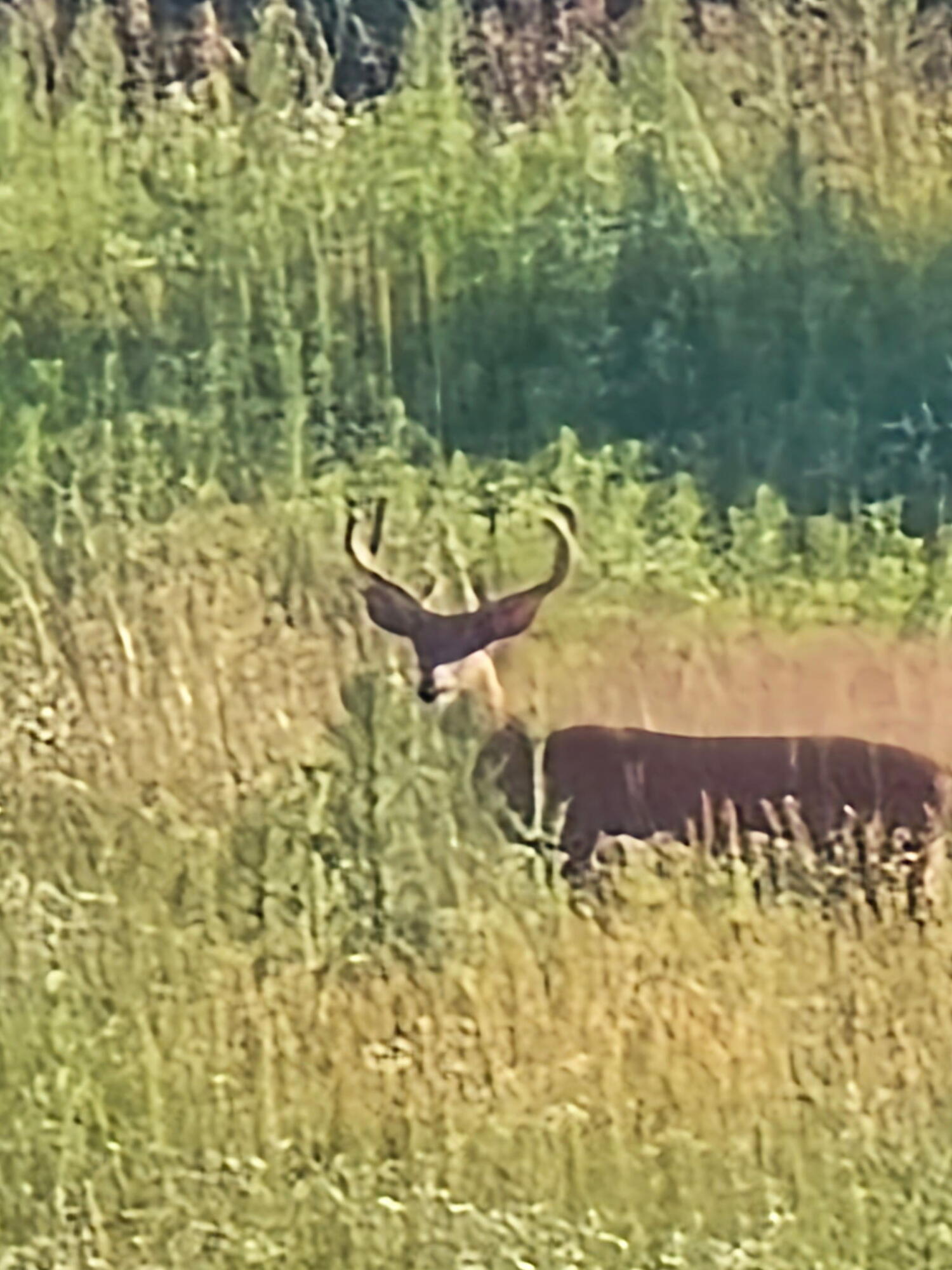 0 West Territorial Road Montgomery, MI 49255 - Photo 14 of 15 5097923959982775481