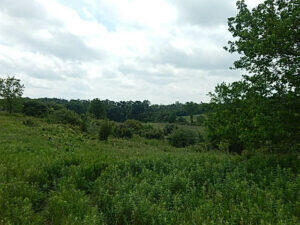 0 West Territorial Road Montgomery, MI 49255 - Photo 2 of 15 elmer2