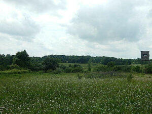 0 West Territorial Road Montgomery, MI 49255 - Photo 3 of 15 elmer3