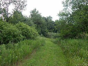 0 West Territorial Road Montgomery, MI 49255 - Photo 4 of 15 elmer4