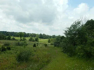 $399,900 | 0 West Territorial Road, Montgomery, MI 49255