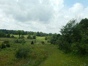 0 West Territorial Road Montgomery, MI 49255 - Photo 5 of 15 elmer6