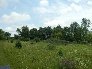 $399,900 | 0 West Territorial Road, Montgomery, MI 49255