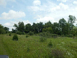 0 West Territorial Road Montgomery, MI 49255 - Photo 6 of 15 elmer7