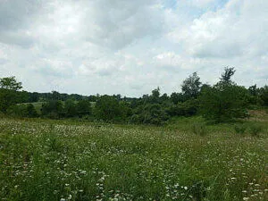 $399,900 | 0 West Territorial Road, Montgomery, MI 49255