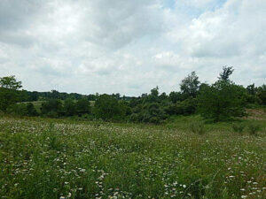 0 West Territorial Road Montgomery, MI 49255 - Photo 7 of 15 elmer8