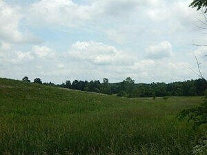 0 West Territorial Road Montgomery, MI 49255 - Photo 8 of 15 elmer9