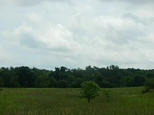 $399,900 | 0 West Territorial Road, Montgomery, MI 49255