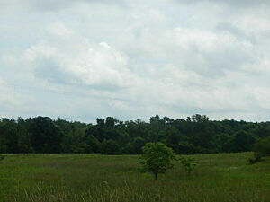 0 West Territorial Road Montgomery, MI 49255 - Photo 9 of 15 elmer10