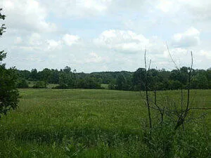 $399,900 | 0 West Territorial Road, Montgomery, MI 49255