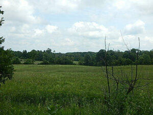 0 West Territorial Road Montgomery, MI 49255 - Photo 10 of 15 elmer11