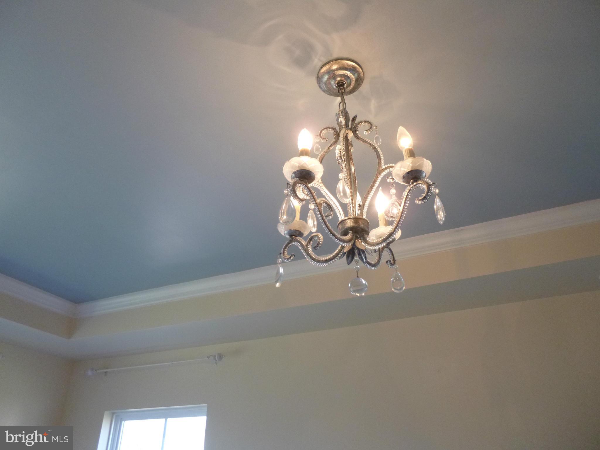 9081 Ribbon Falls Loop Bristow, VA 20136 - Photo 13 of 28 Tray ceiling in Master bedroom