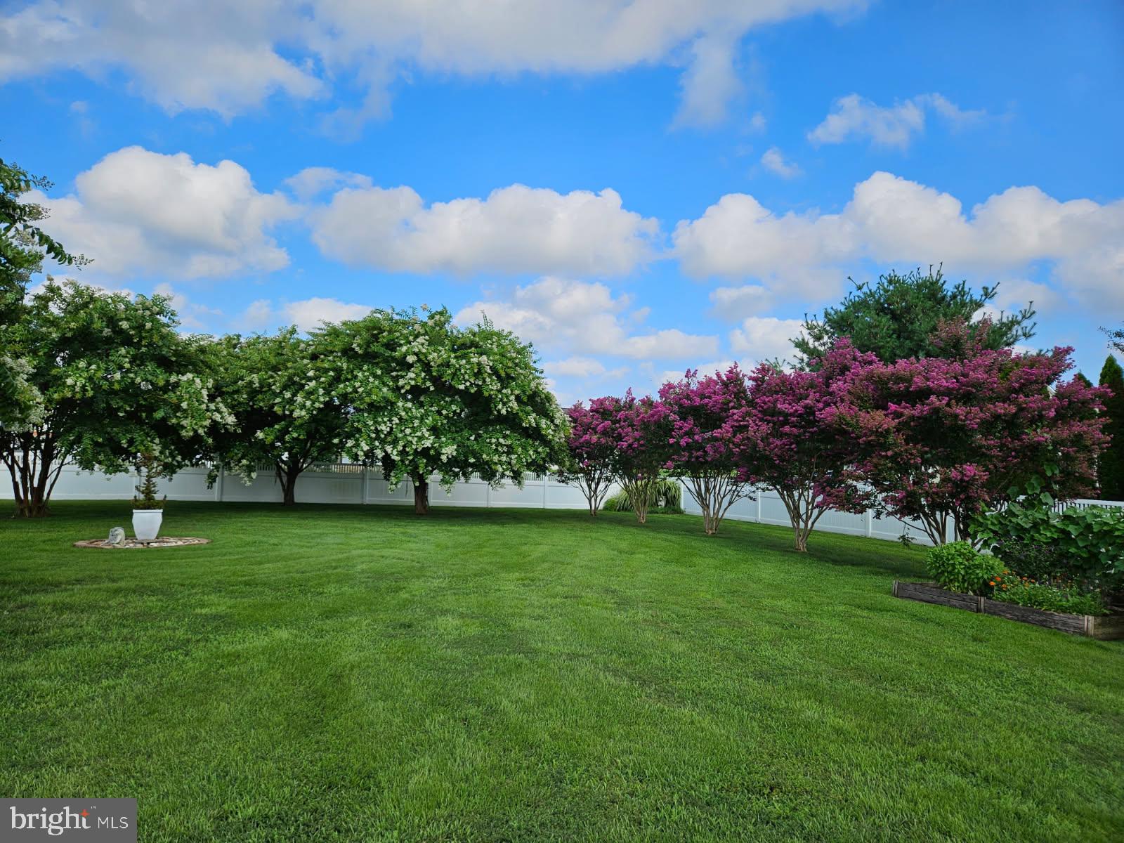 31436 Waters Way Lewes, DE 19958 - Photo 61 of 70 Beautifully landscaped back yard
