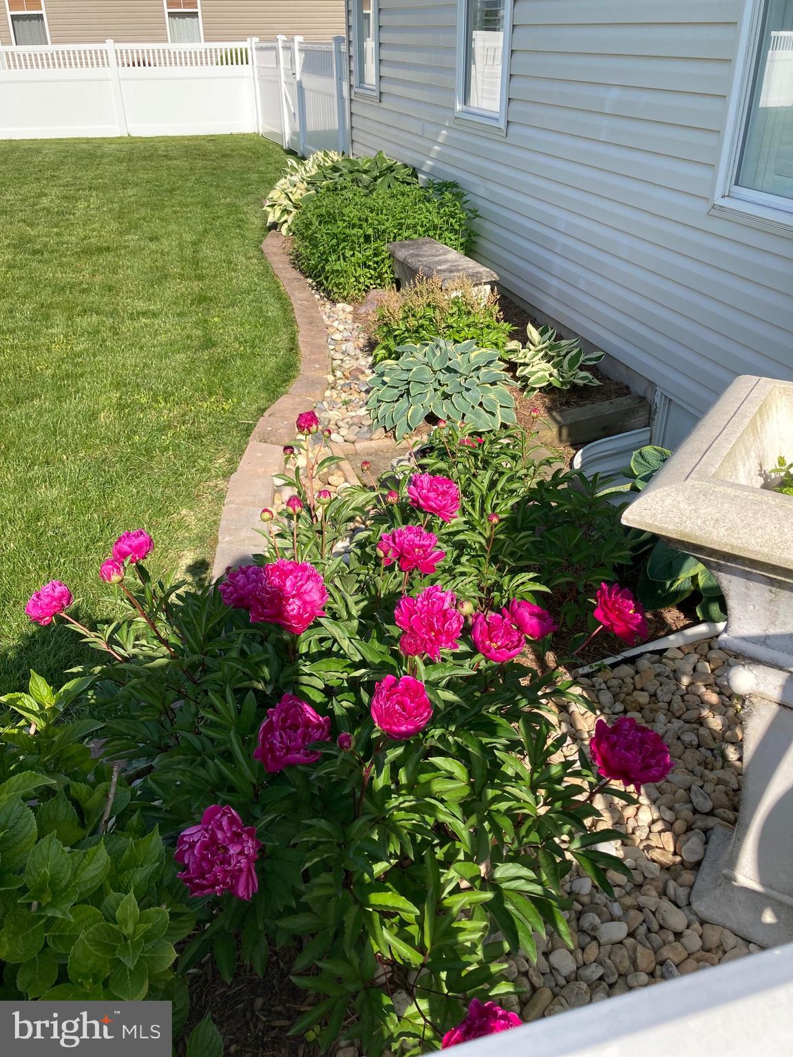 31436 Waters Way Lewes, DE 19958 - Photo 63 of 70 Perennial gardens.