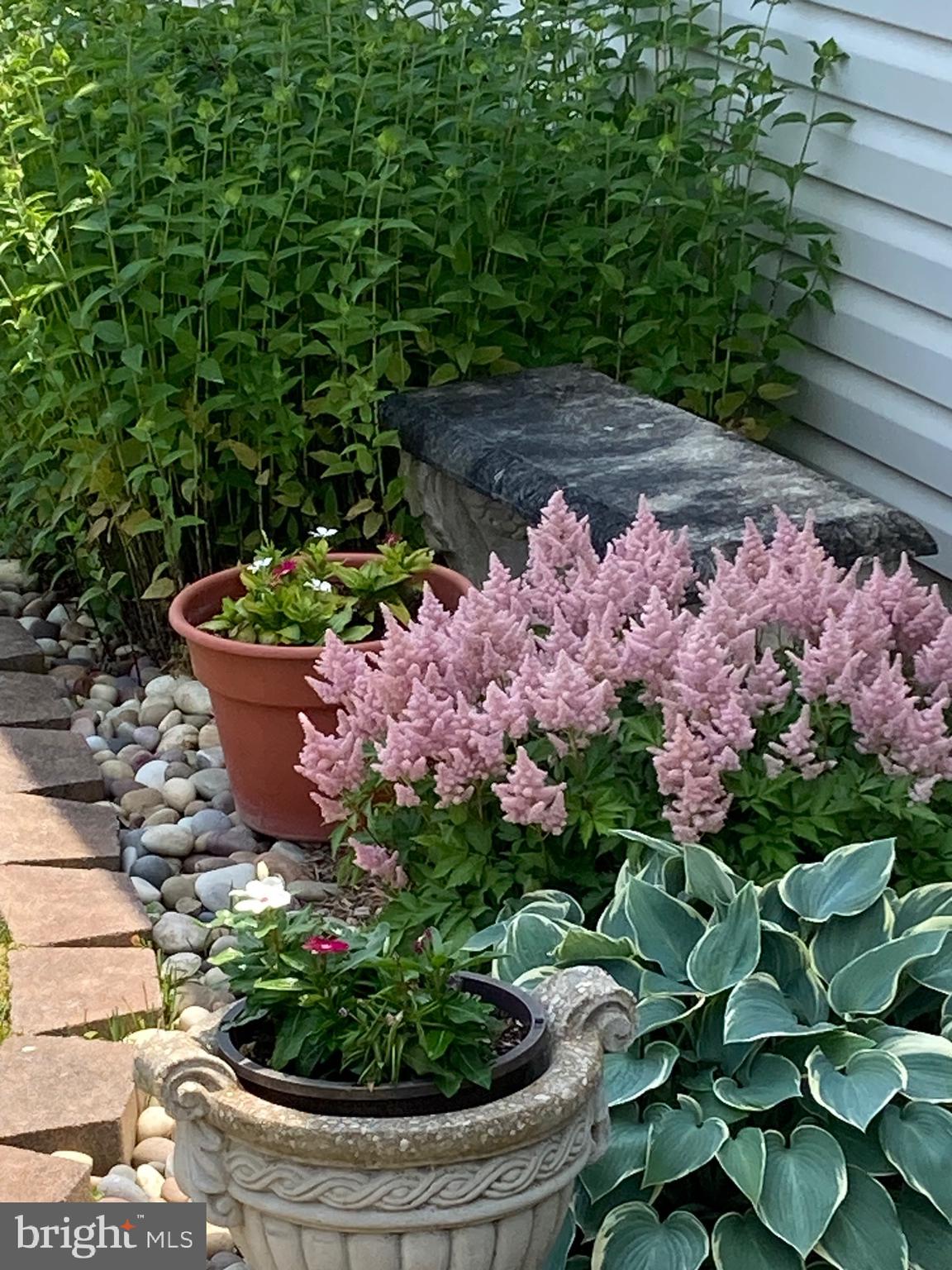 31436 Waters Way Lewes, DE 19958 - Photo 64 of 70 Perennial gardens.