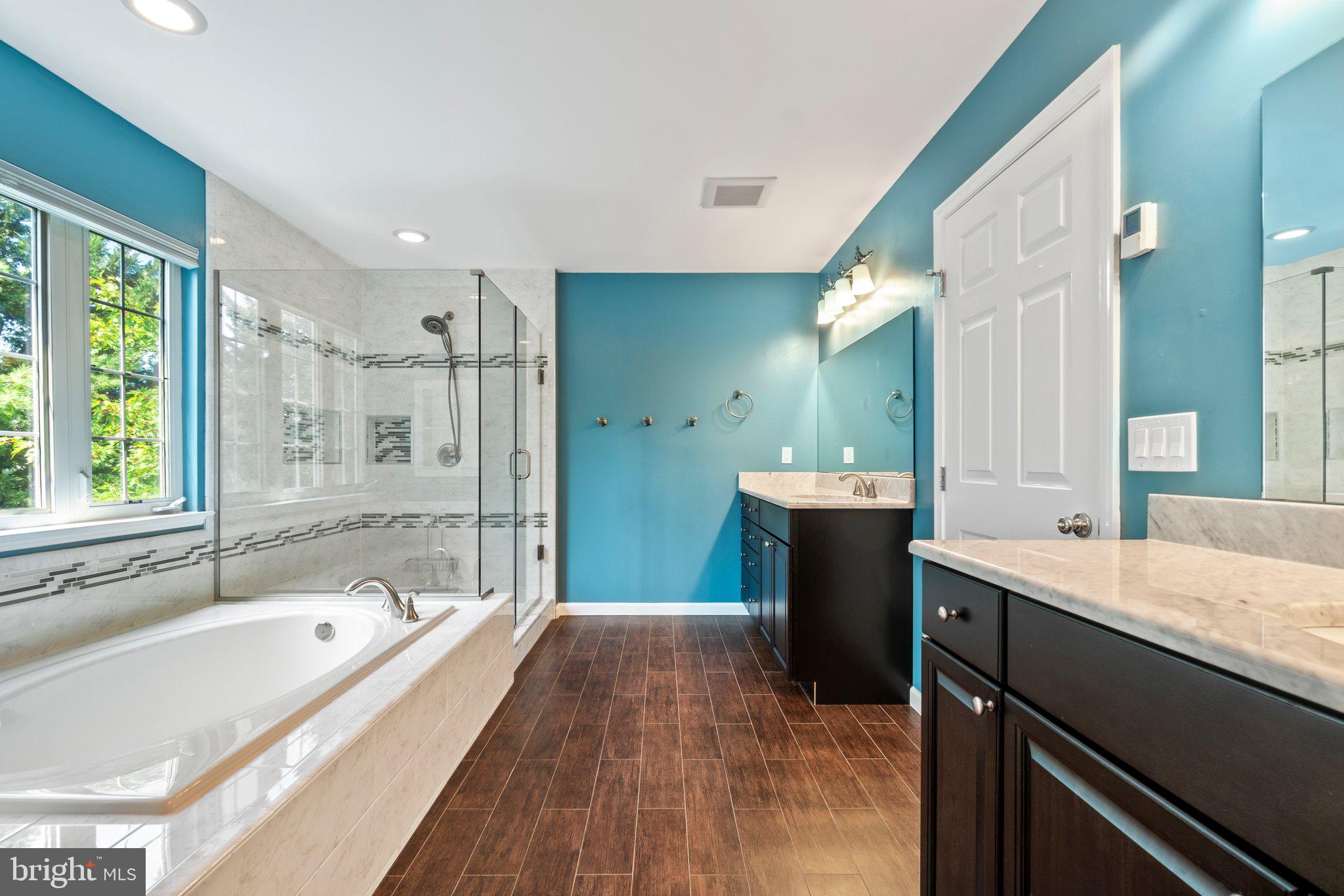 21255 Olive Green Court Ashburn, VA 20147 - Photo 17 of 32 a bathroom with a bathtub shower sink and mirror