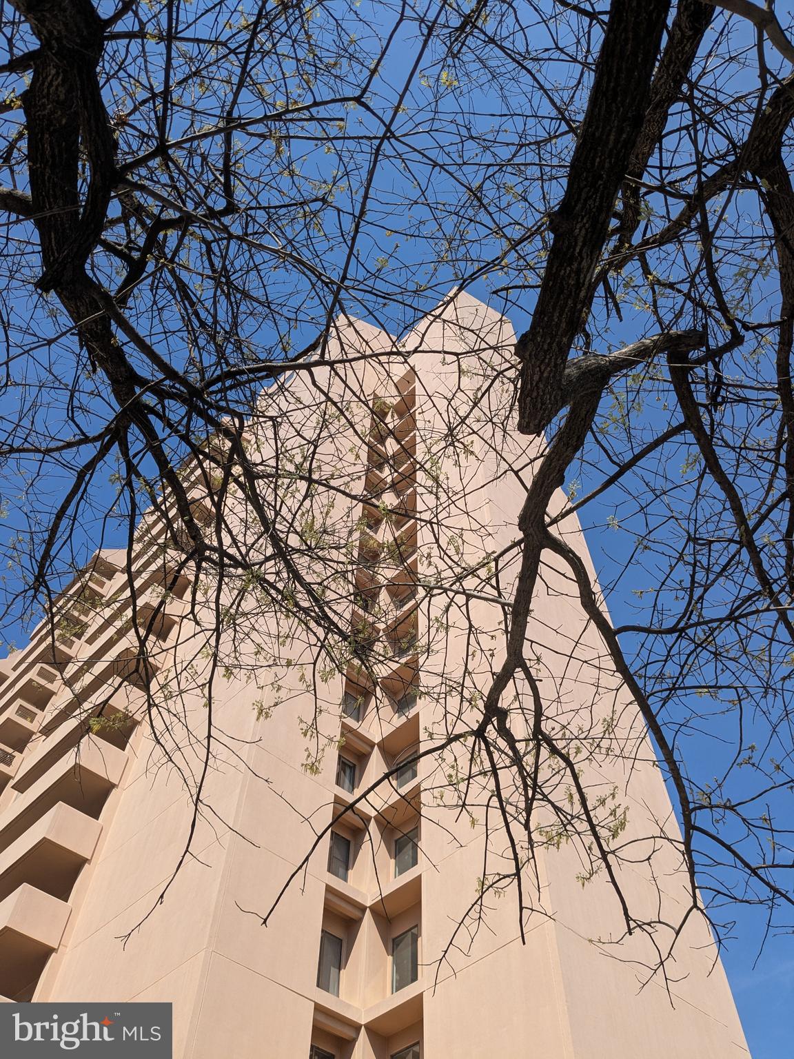 1301 North Courthouse Road, Unit 1205 Arlington, VA 22201 - Photo 2 of 33 a backyard of a house with large trees