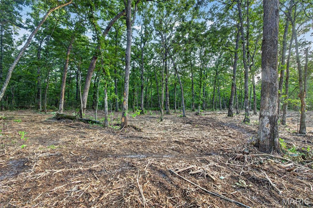 3 Cantrell Road Mansfield, MO 65704 - Photo 6 of 14