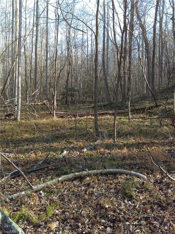 0 Bryan Road Pilot Mountain, NC 27041 - Photo 4 of 9 Gallery Image 4