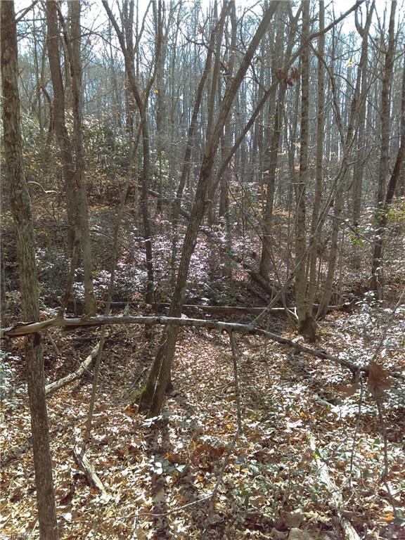 0 Bryan Road Pilot Mountain, NC 27041 - Photo 5 of 9 Gallery Image 5