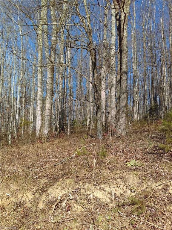 0 Bryan Road Pilot Mountain, NC 27041 - Photo 6 of 9 Gallery Image 6