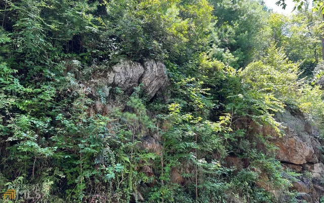 an aerial view of residential house with outdoor space and trees all around