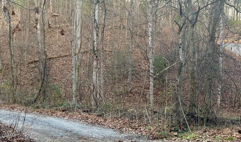 6 Spotted Fawn Way Sevierville, TN 37876 - Photo 2 of 5 Gallery Image 2
