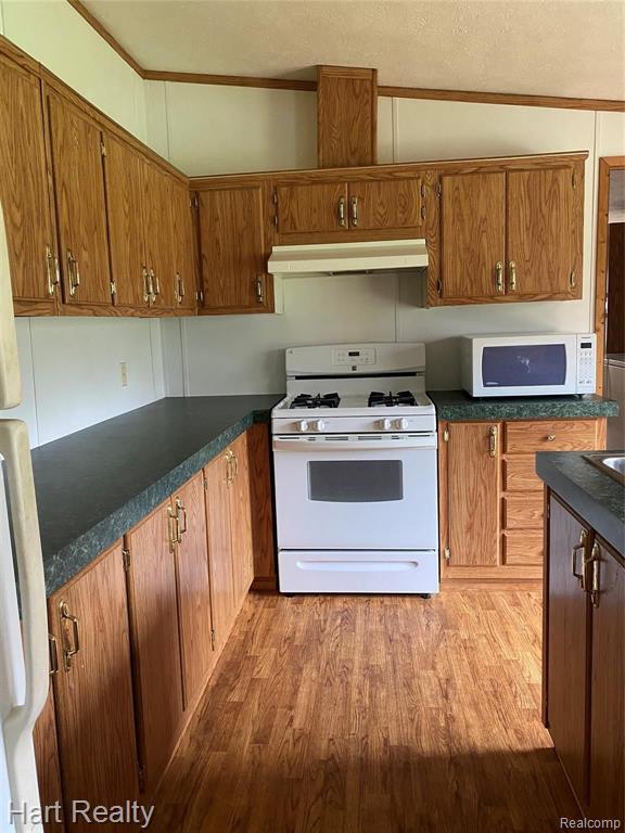 5355 Chambers Road Mayville, MI 48744 - Photo 7 of 27