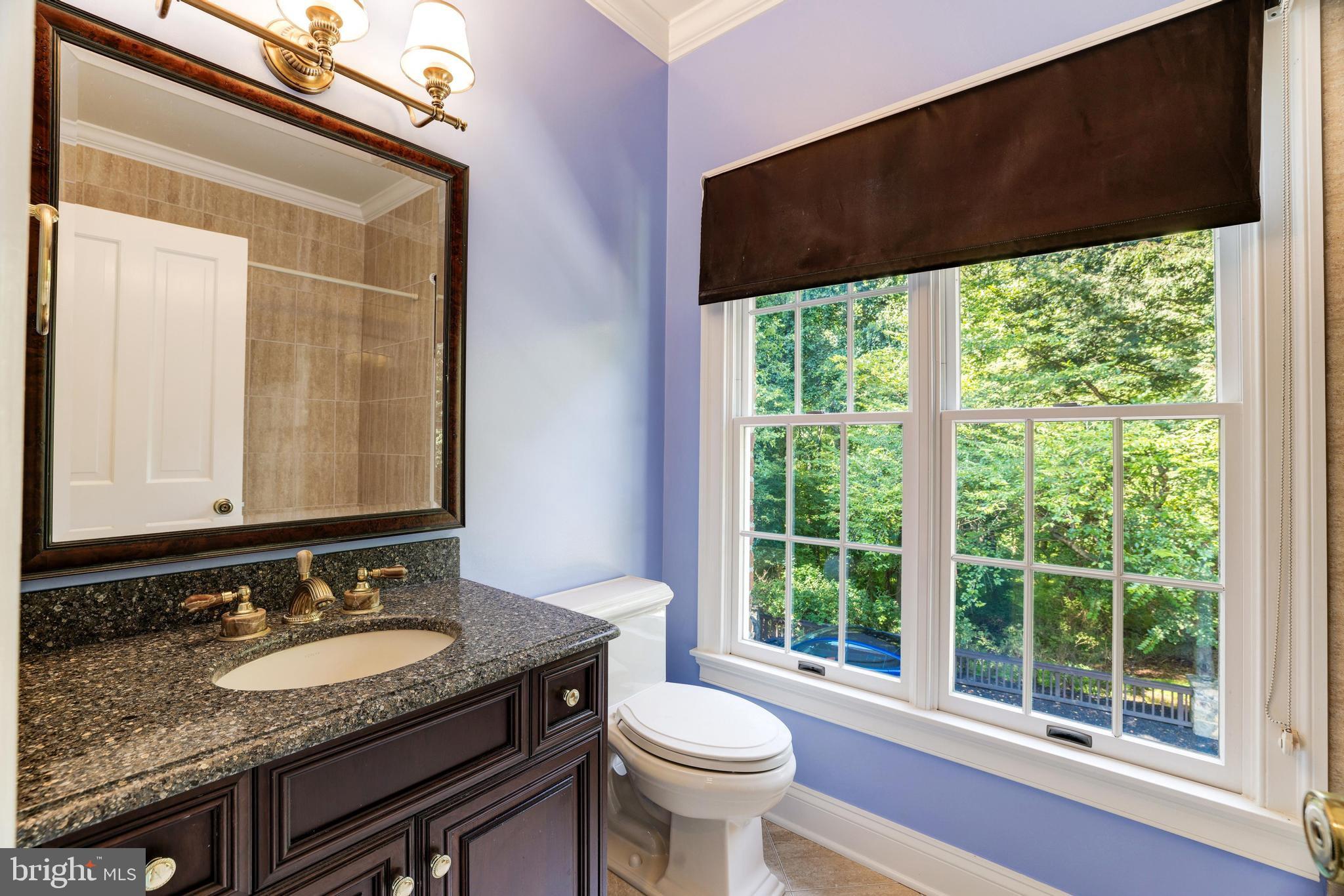 530 Walker Road Great Falls, VA 22066 - Photo 38 of 52 Gallery Image 38