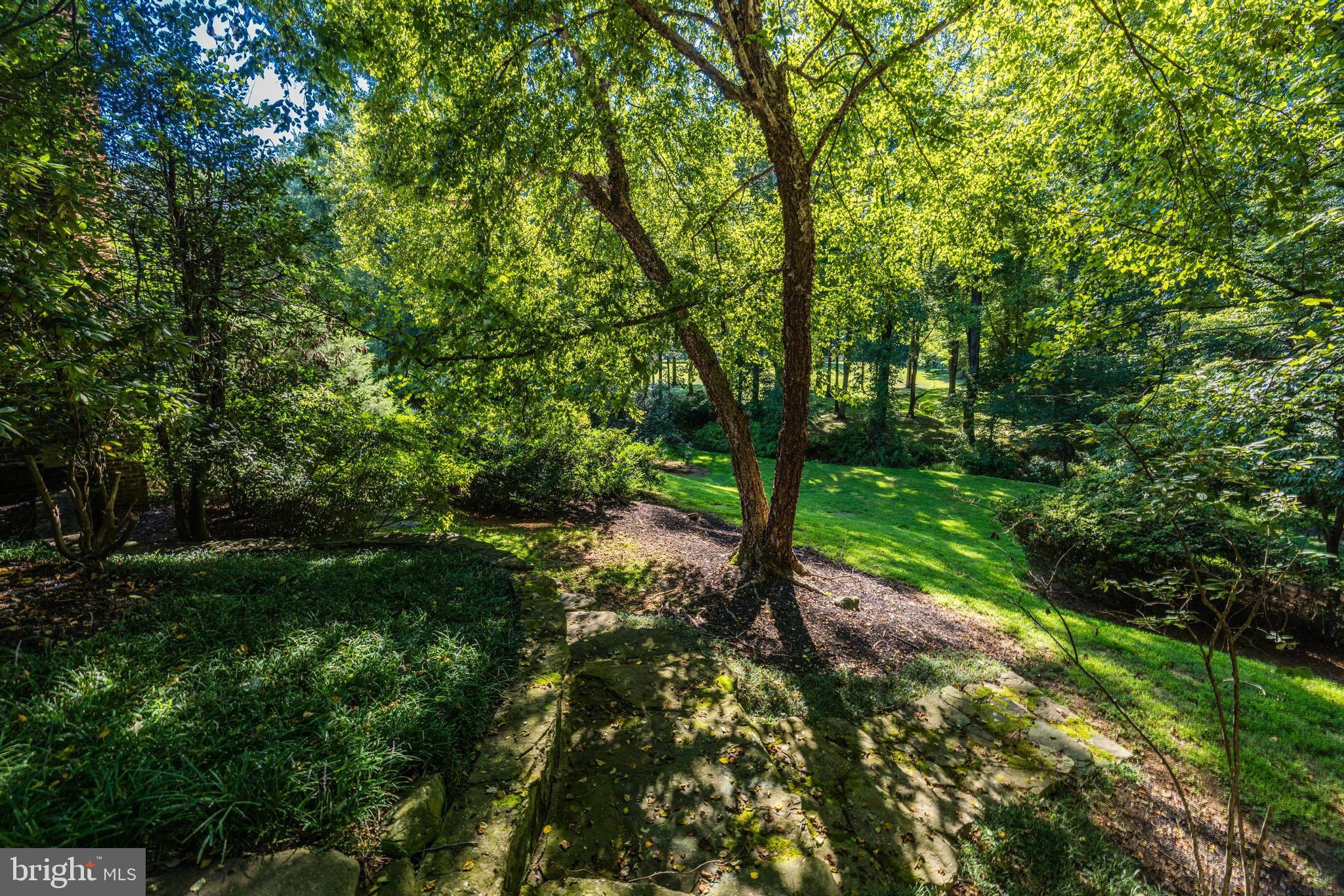 530 Walker Road Great Falls, VA 22066 - Photo 7 of 52 Gallery Image 7
