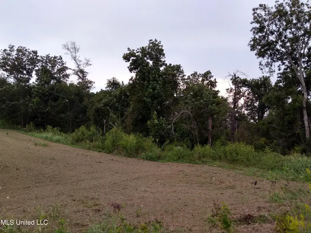 $62,500 | 44 Blaine Road, Doddsville, MS 38736