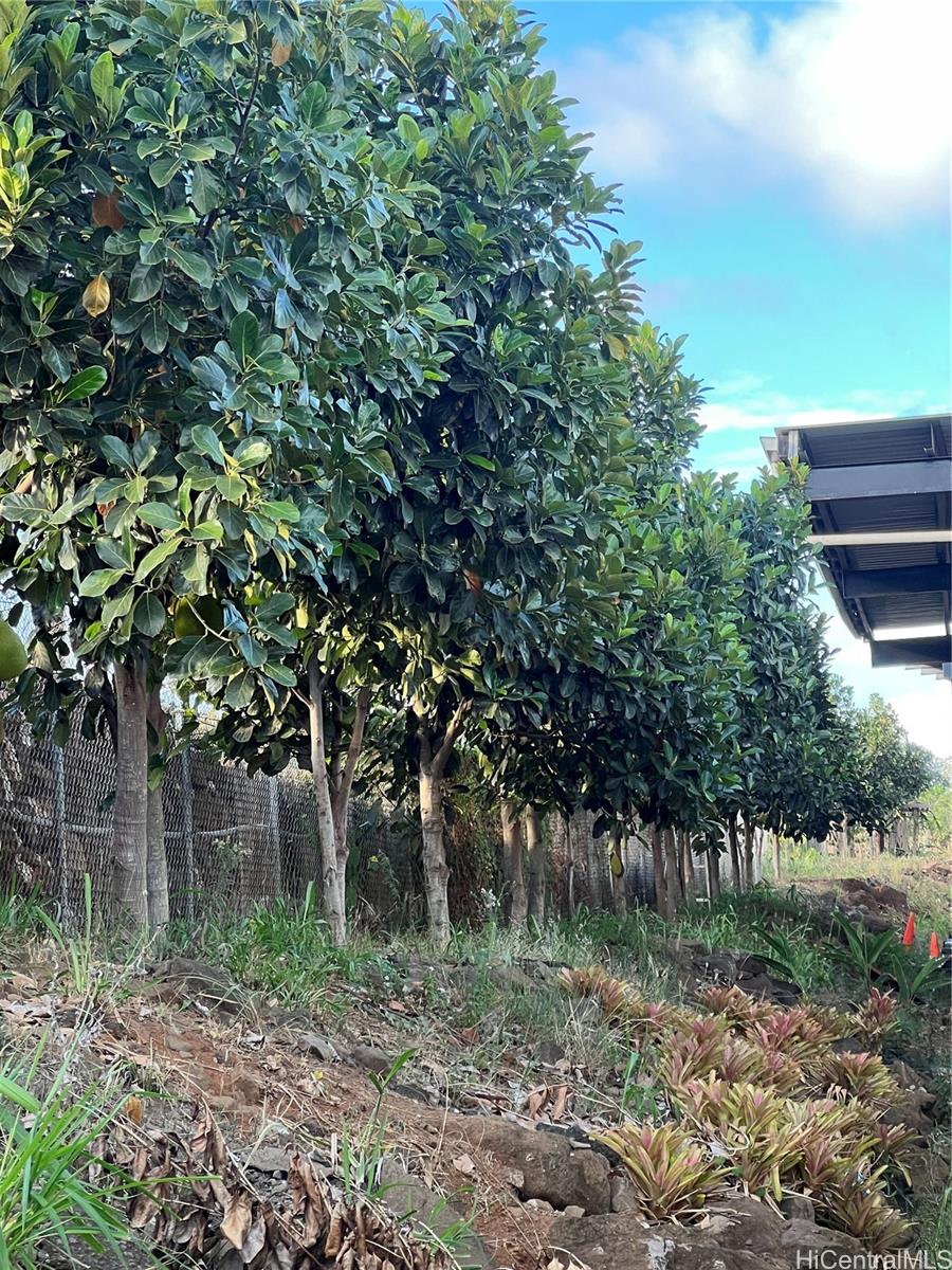 94-1100 Kunia Road, Unit 45 Waipahu, HI 96797 - Photo 3 of 8 a backyard of a house with lots of green space