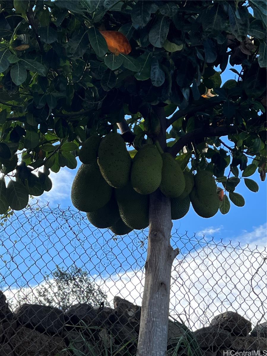 94-1100 Kunia Road, Unit 45 Waipahu, HI 96797 - Photo 4 of 8 a view of entryway