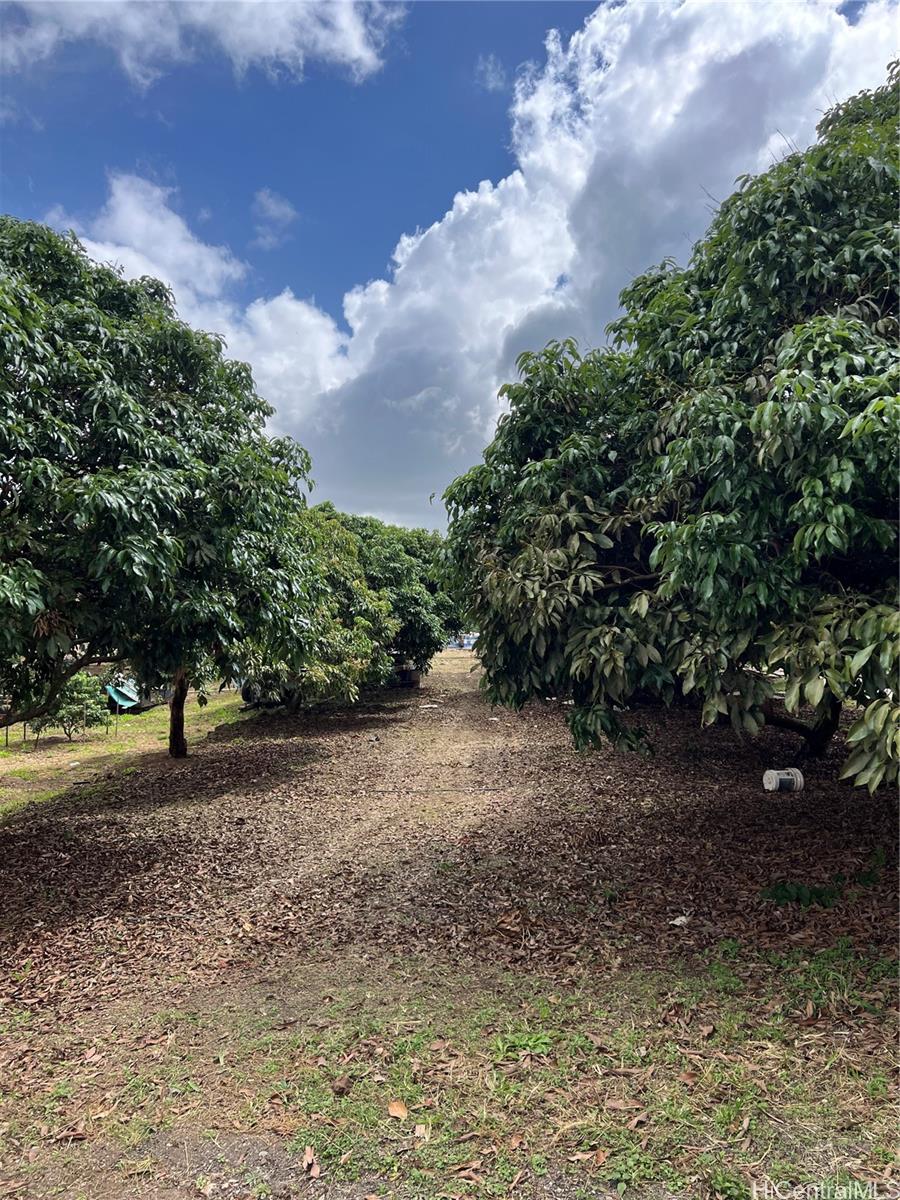 94-1100 Kunia Road, Unit 45B Waipahu, HI 96797 - Photo 10 of 13 a view of a yard with plants and trees