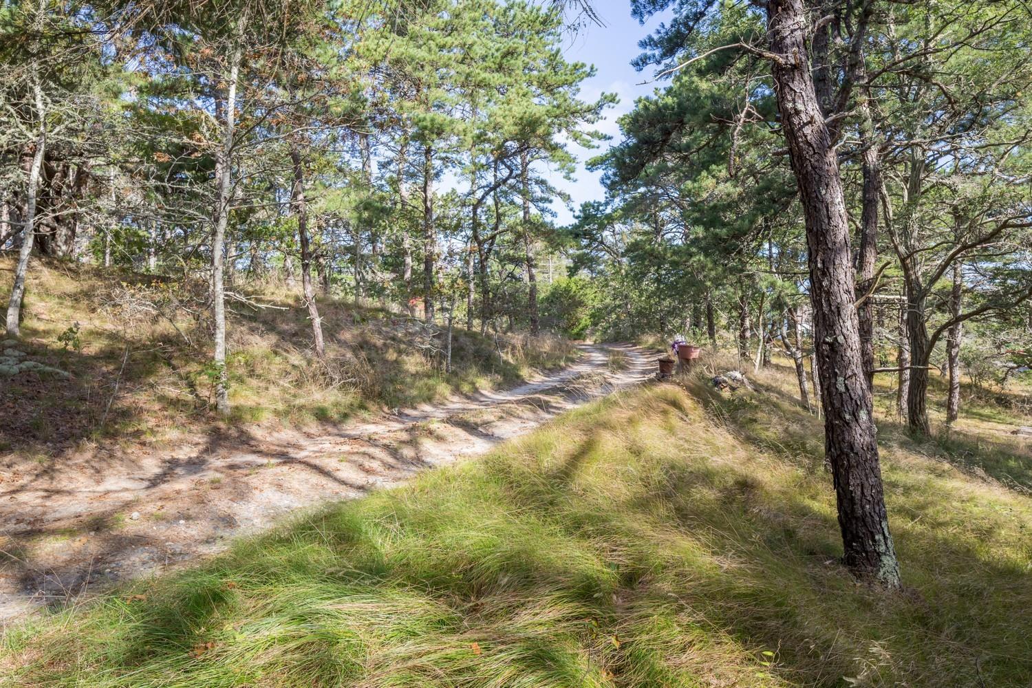 59 South Pamet Road Truro, MA 02666 - Photo 3 of 15 a view of yard with trees