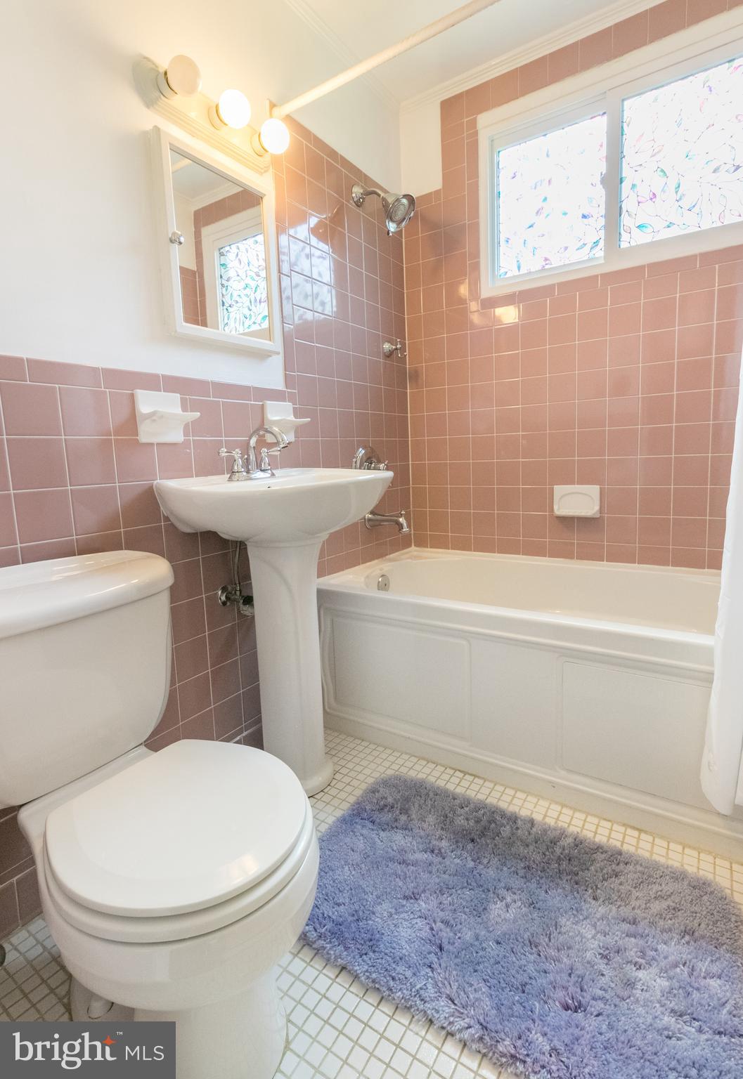 48 Ridge Road Greenbelt, MD 20770 - Photo 13 of 19 Second floor full bath with jetted tub!