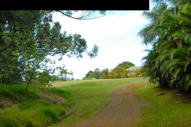 55 Ulumalu Road Haiku, HI 96708 - Photo 13 of 26 a view of a big yard with large trees