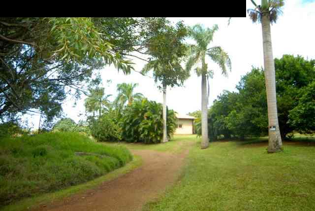 55 Ulumalu Road Haiku, HI 96708 - Photo 20 of 26 a view of a yard with palm tree