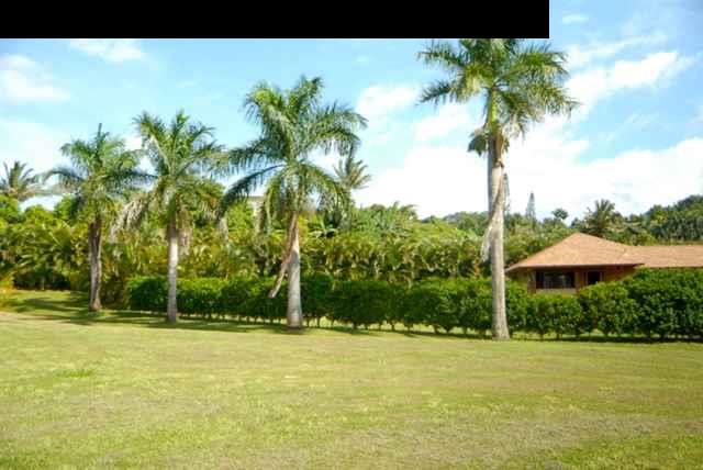 55 Ulumalu Road Haiku, HI 96708 - Photo 9 of 26 a view of a swimming pool and trees in the background