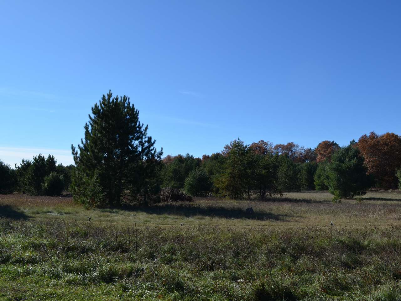 Lot 1 Point O Pines Road Tomahawk, WI 54487 - Photo 16 of 20 Gallery Image 16