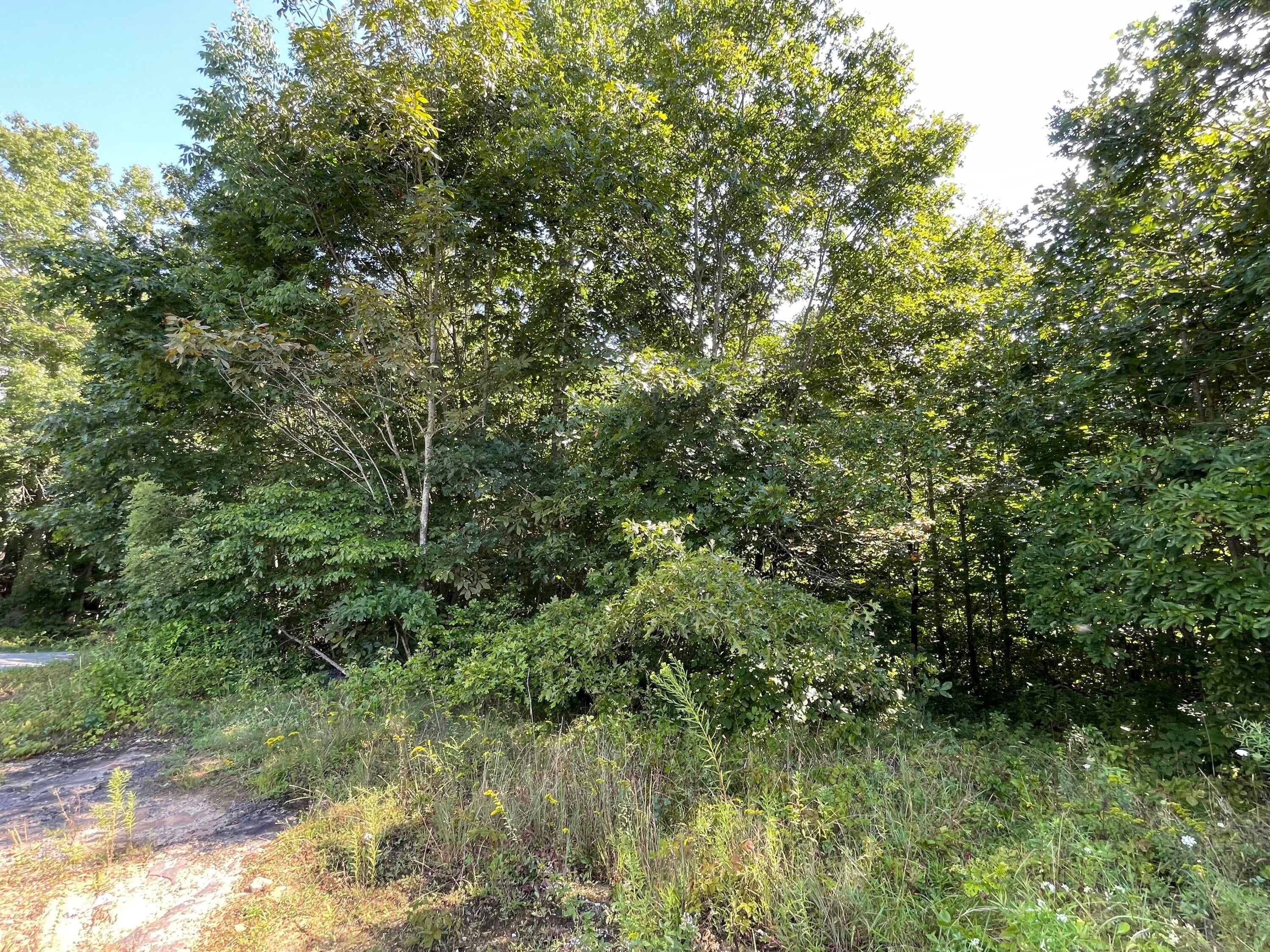 Keeney Mountain Road Sandstone, WV 25985 - Photo 7 of 19 Gallery Image 7