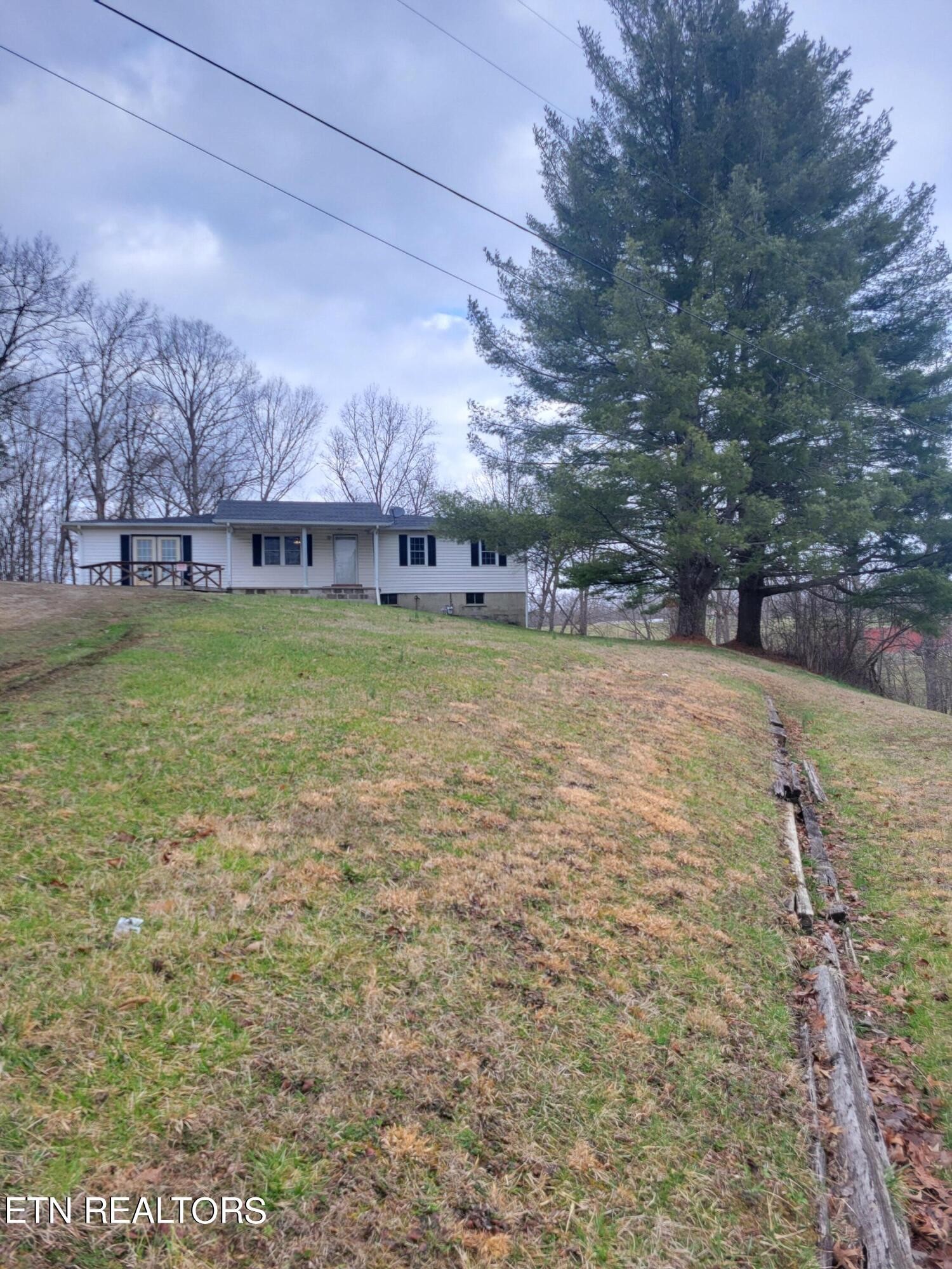 600 Boles Road Robbins, TN 37852 - Photo 3 of 14 Gallery Image 3