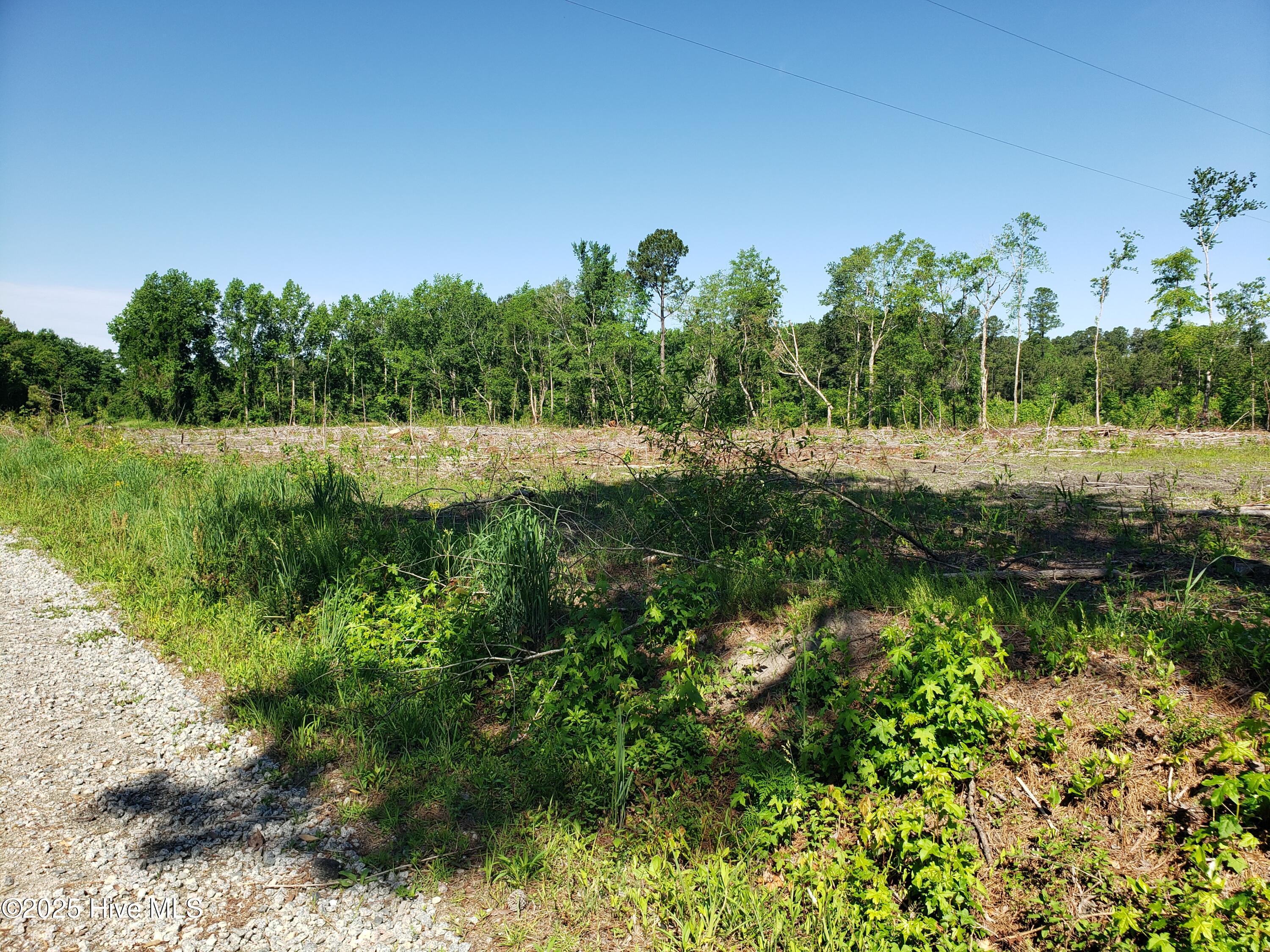 23.95-ac Loop Road Bolton, NC 28423 - Photo 7 of 9 3AC