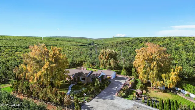 a view of a city with an ocean view