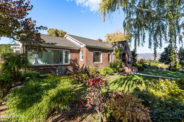 a view of a garden with a chair