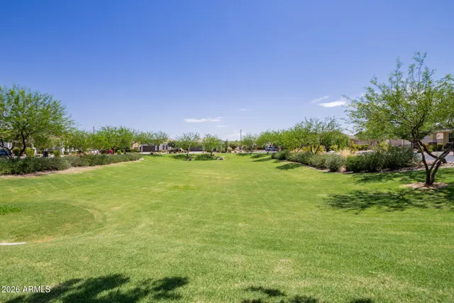 a view of a field with plants and trees
