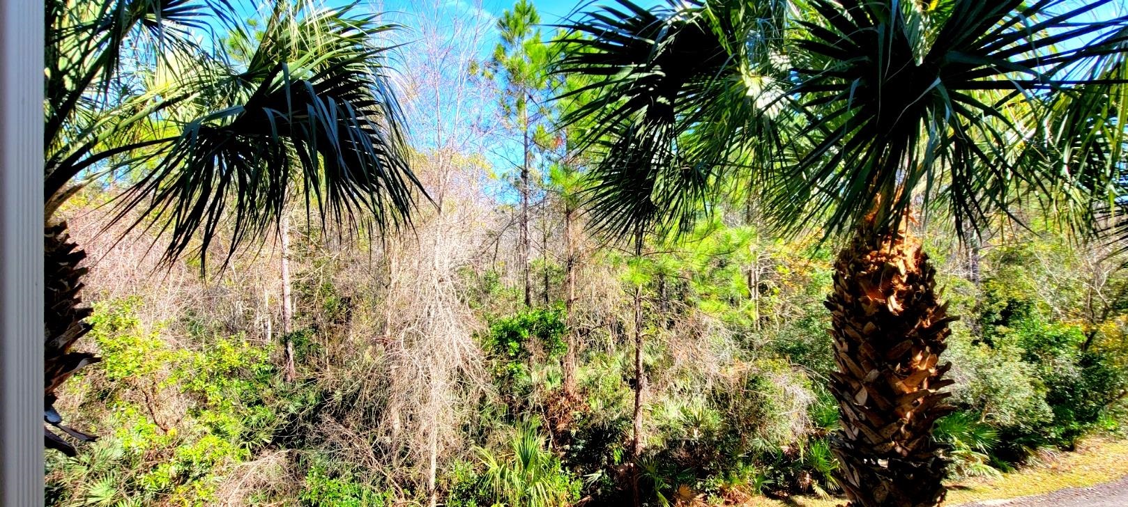 285 Old Village Center Circle, Unit 5206 St. Augustine, FL 32084 - Photo 16 of 17 a view of a garden