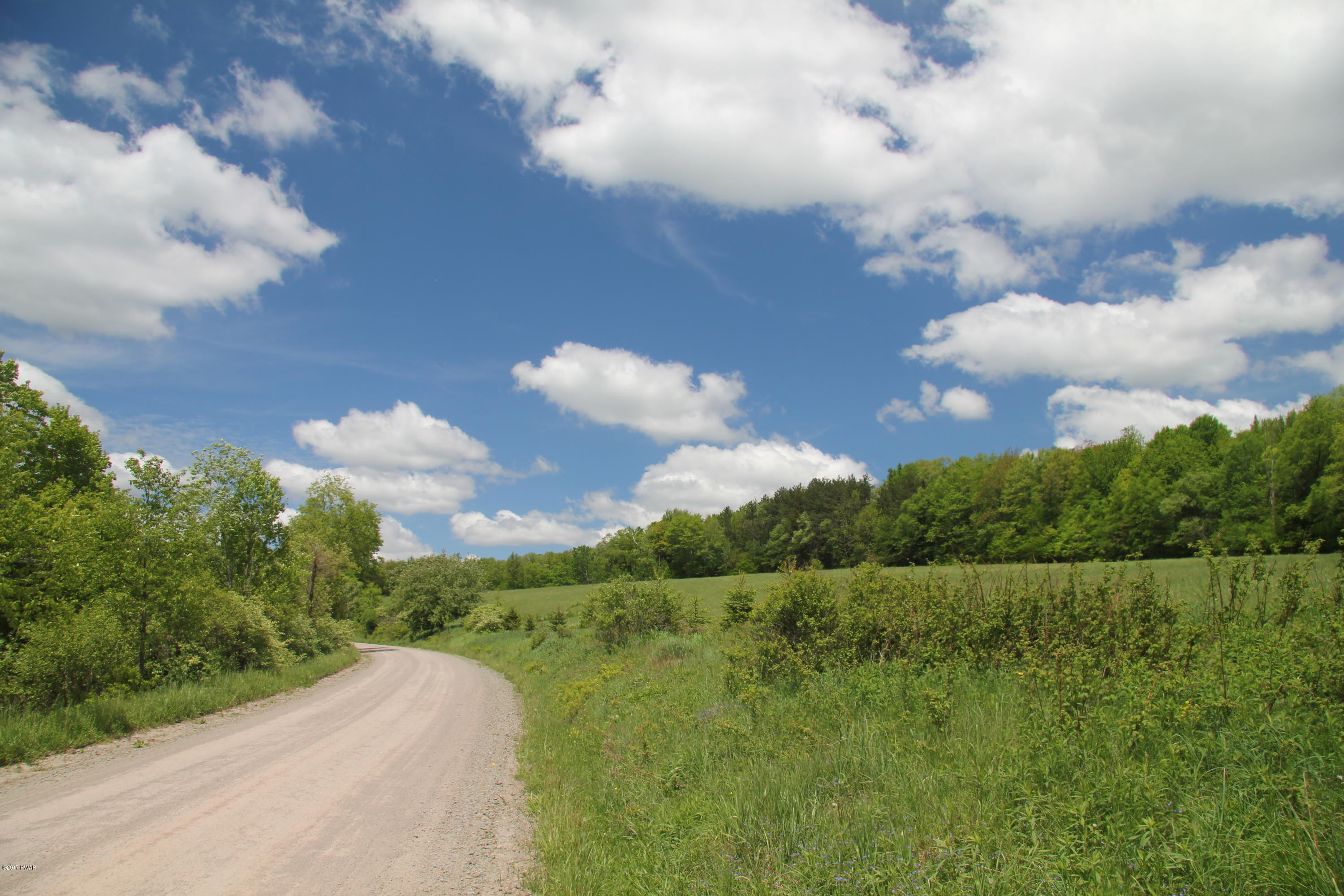 Holbert Road Preston Park, PA 18455 - Photo 1 of 9
